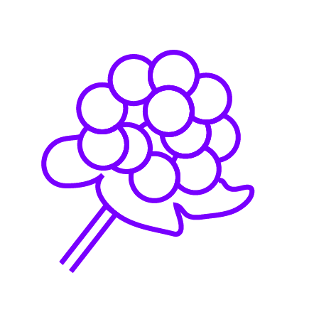 The Maku Cloudberry Flower; A line-drawing of cloudberries. 